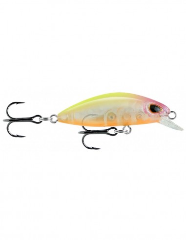 Gomoku Minnow  CLPHC