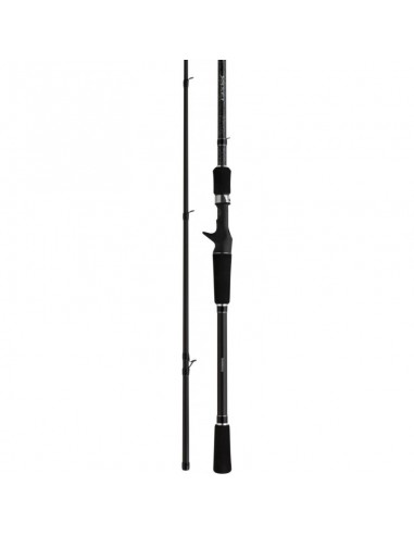 YASEI PIKE CASTING 250XH 40-100G