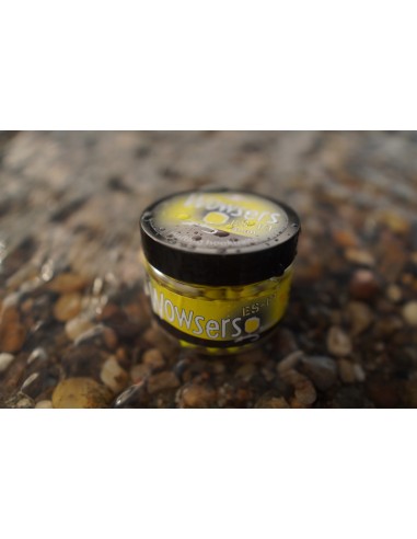 Dynamite Speedy's Washters Brown ES-Z 5mm - cutie