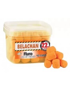 Catfish - Belachan pop ups 22mm cutie