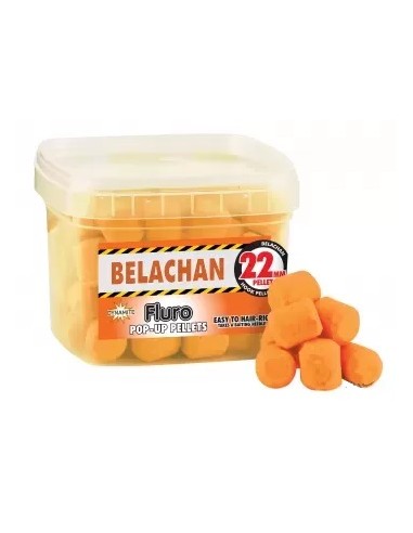 Catfish - Belachan pop ups 22mm cutie