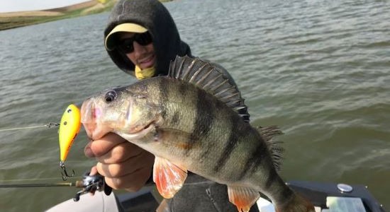 Rapala Rippin’ Rap 6cm