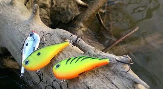 Rapala Rippin Rap.